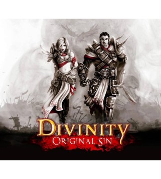 Divinity: Original Sin Gift Steam Key GLOBAL